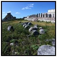 Calica