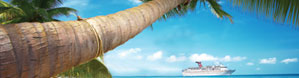 Palm Tree and Ship