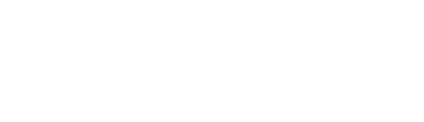 Celebrity Cruises Partner of the Year